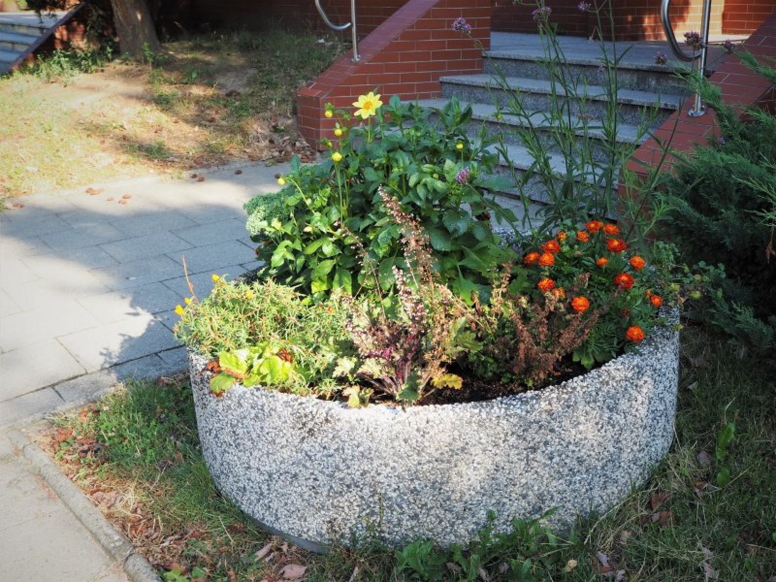 Zdjęcie w galerii na portalu naszraciborz.pl: Zaadoptuj donicę. Drugie życie raciborskiego betonu wiadomości z regionu