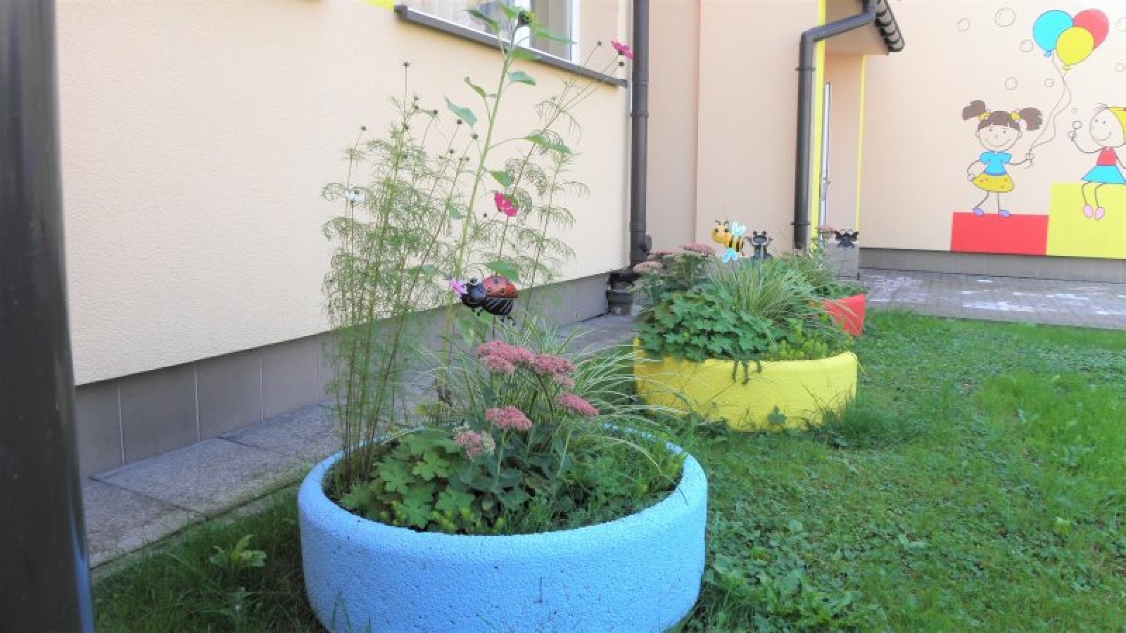 Zdjęcie w galerii na portalu naszraciborz.pl: Zaadoptuj donicę. Drugie życie raciborskiego betonu wiadomości z regionu