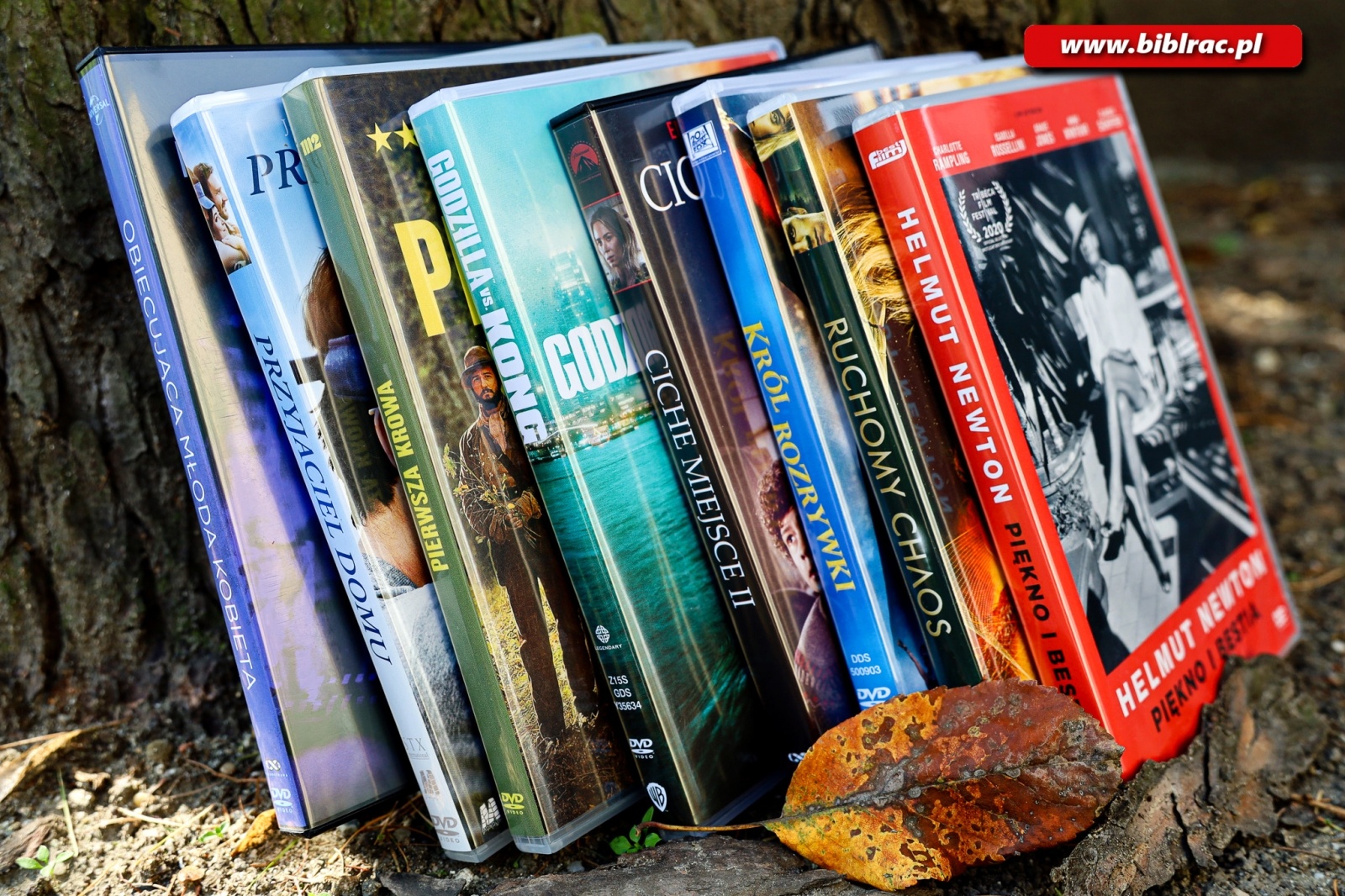 Zdjęcie w galerii na portalu naszraciborz.pl: Jesienne wieczory z filmem- nowości DVD w bibliotece wiadomości z regionu