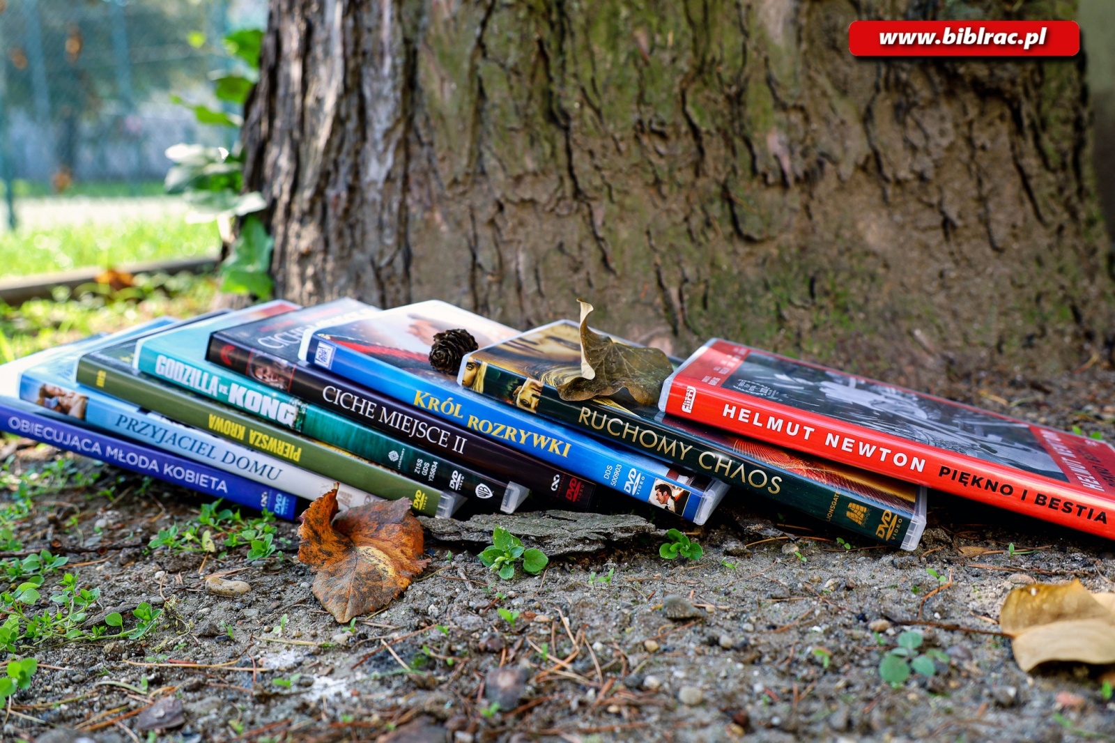 Zdjęcie w galerii na portalu naszraciborz.pl: Jesienne wieczory z filmem- nowości DVD w bibliotece wiadomości z regionu