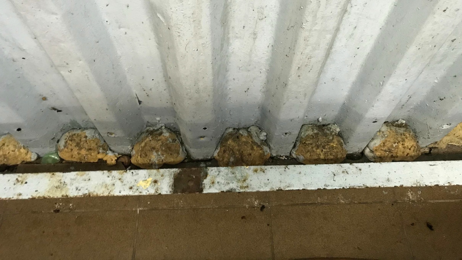 Zdjęcie w galerii na portalu naszraciborz.pl: Kuchnia nie przejdzie już kontroli Sanepidu. Pleśna wymaga kosztownych nakładów [FOTO] wiadomości z regionu