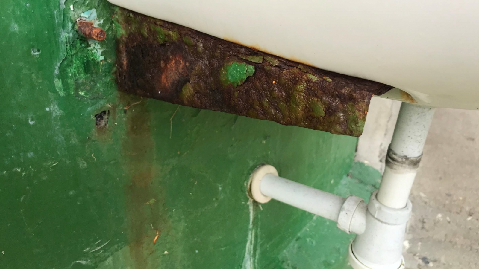 Zdjęcie w galerii na portalu naszraciborz.pl: Kuchnia nie przejdzie już kontroli Sanepidu. Pleśna wymaga kosztownych nakładów [FOTO] wiadomości z regionu