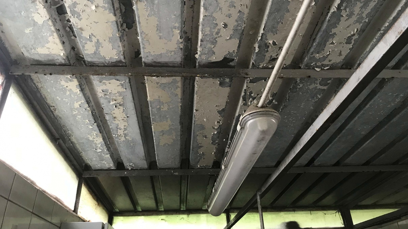 Zdjęcie w galerii na portalu naszraciborz.pl: Kuchnia nie przejdzie już kontroli Sanepidu. Pleśna wymaga kosztownych nakładów [FOTO] wiadomości z regionu