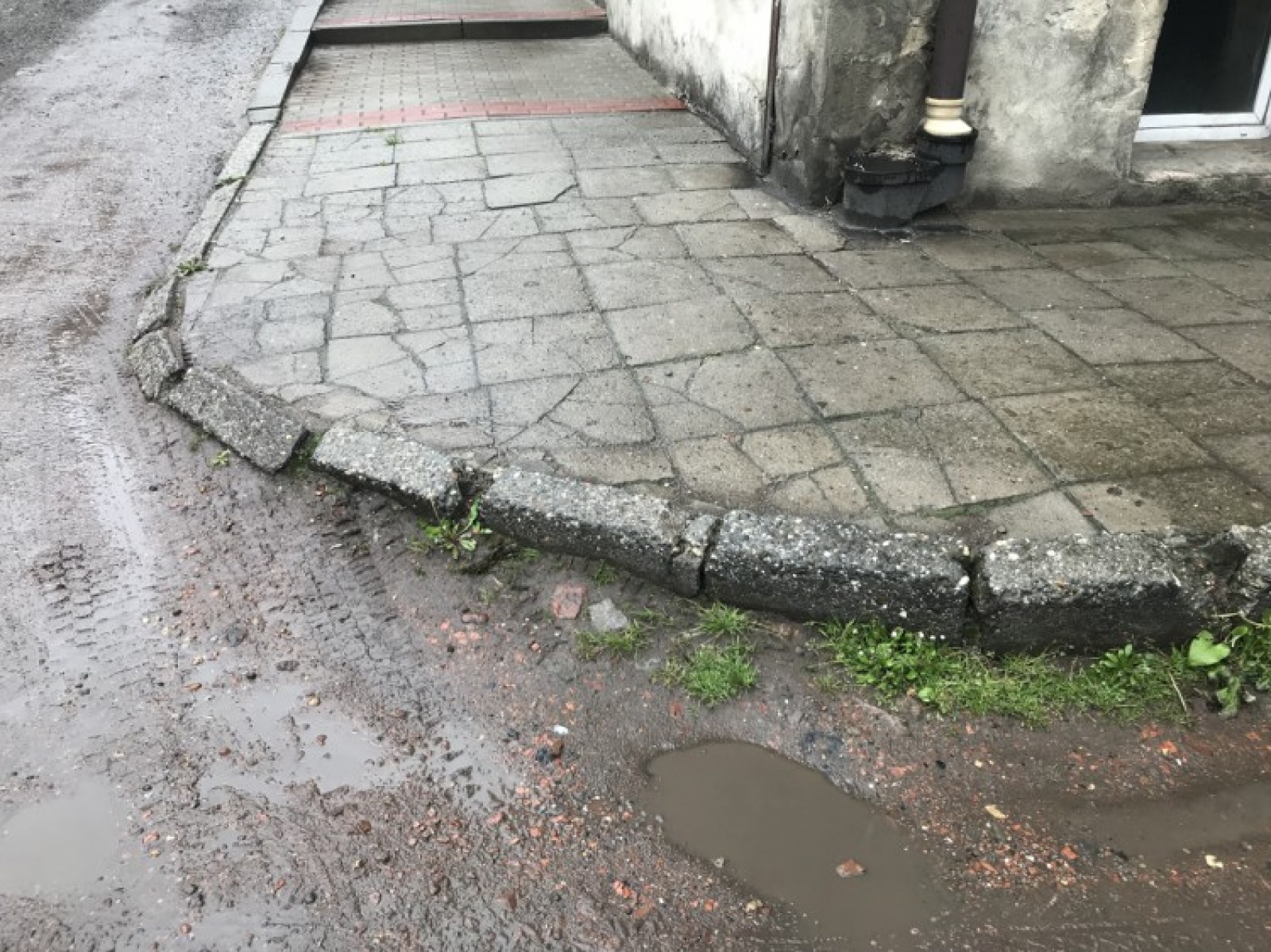 Zdjęcie w galerii na portalu naszraciborz.pl: Racibórz ma takie podwórka. Mieszkańcy chcą to zmienić wiadomości z regionu