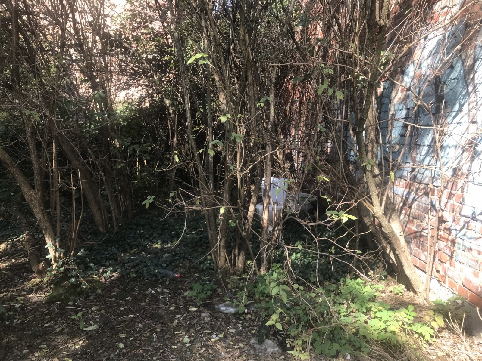 Zdjęcie w galerii na portalu naszraciborz.pl: Racibórz ma takie podwórka. Mieszkańcy chcą to zmienić wiadomości z regionu