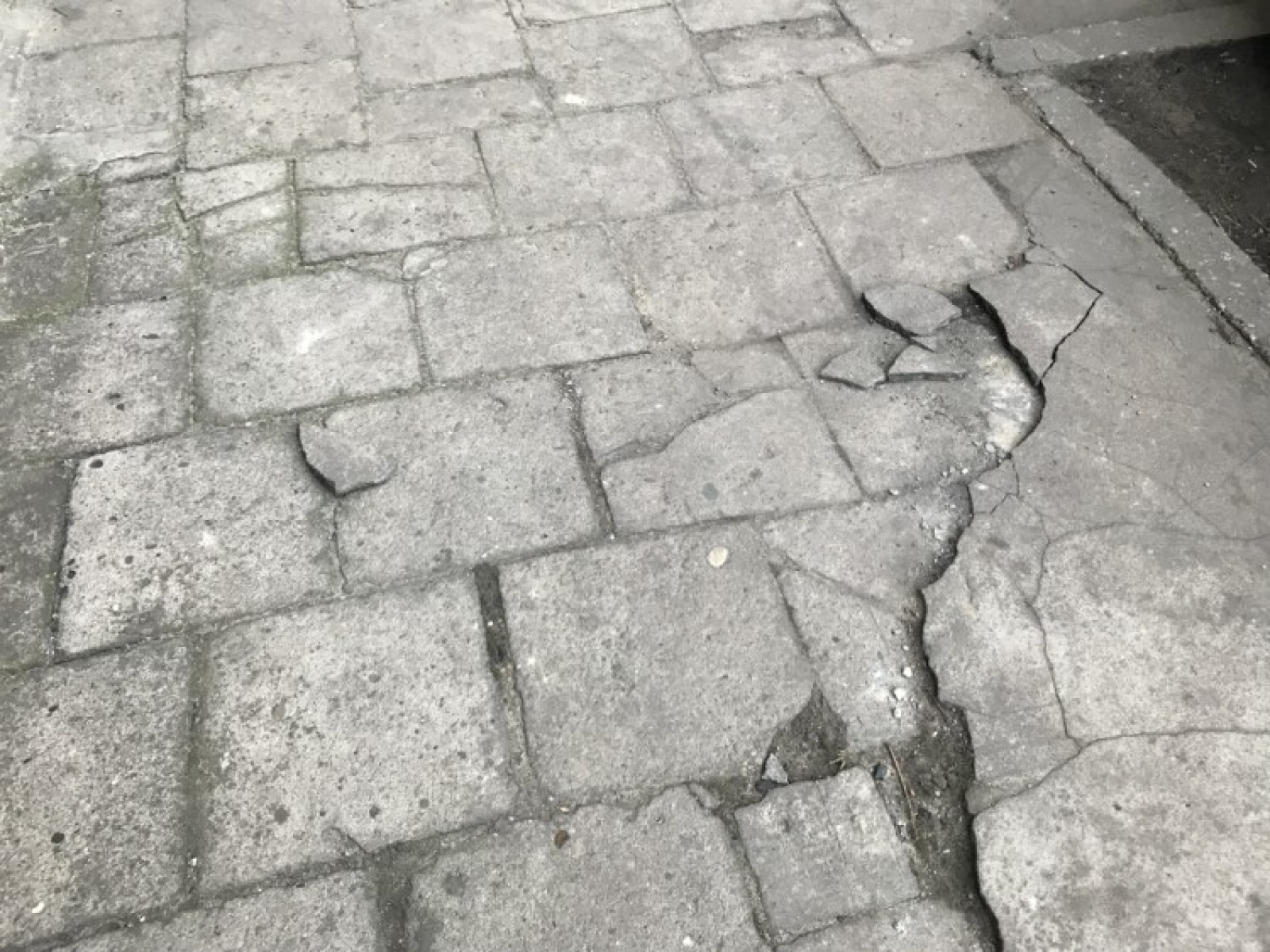 Zdjęcie w galerii na portalu naszraciborz.pl: Racibórz ma takie podwórka. Mieszkańcy chcą to zmienić wiadomości z regionu