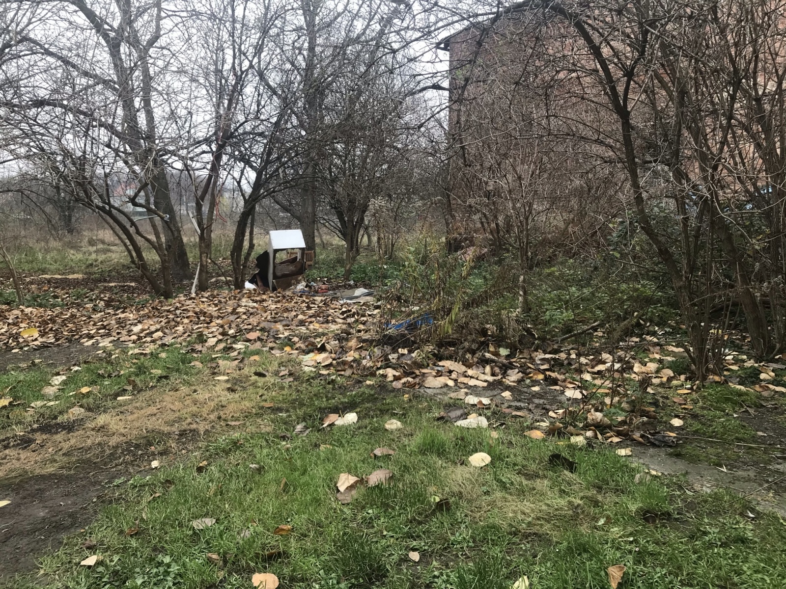 Zdjęcie w galerii na portalu naszraciborz.pl: Racibórz ma takie podwórka. Mieszkańcy chcą to zmienić wiadomości z regionu