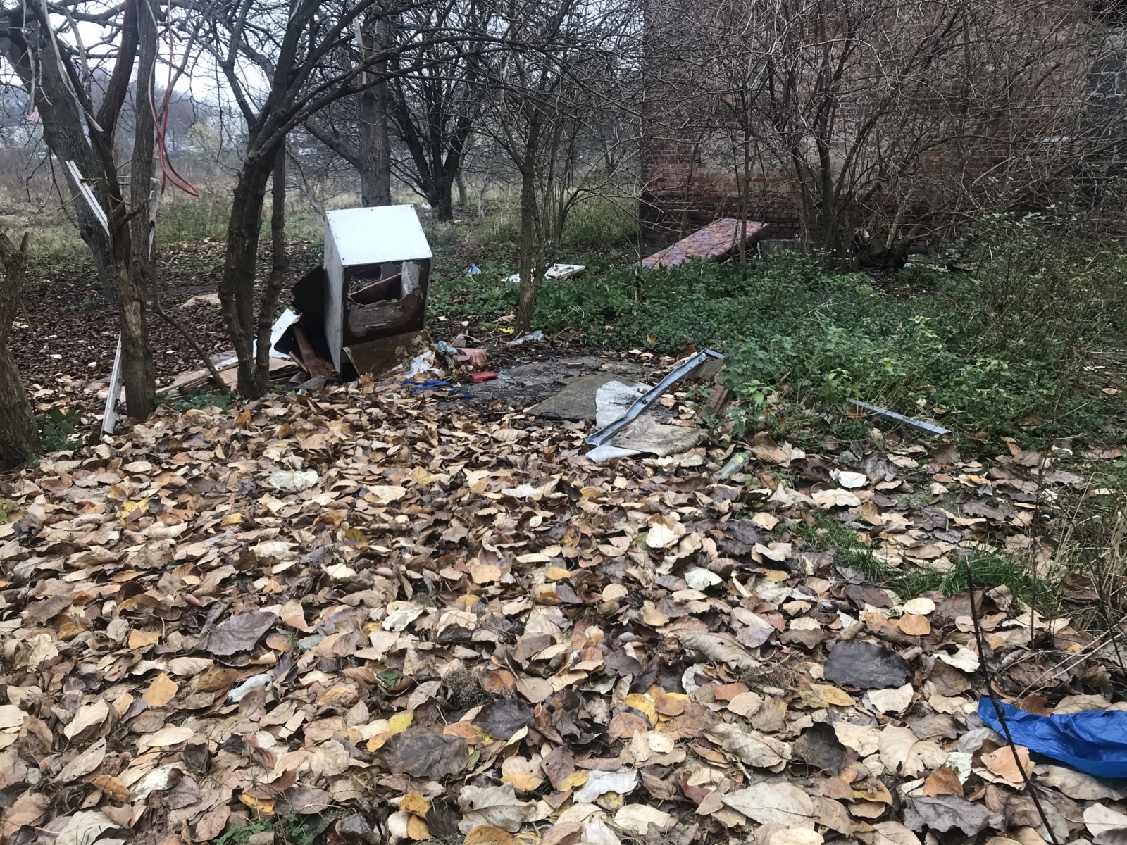 Zdjęcie w galerii na portalu naszraciborz.pl: Racibórz ma takie podwórka. Mieszkańcy chcą to zmienić wiadomości z regionu