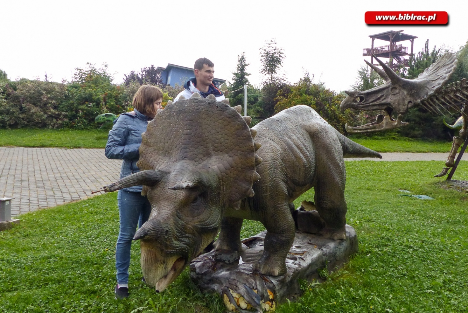 Zdjęcie w galerii na portalu naszraciborz.pl: W dwa dni dookoła świata z wycieczką Biblioteka Bez Barier wiadomości z regionu