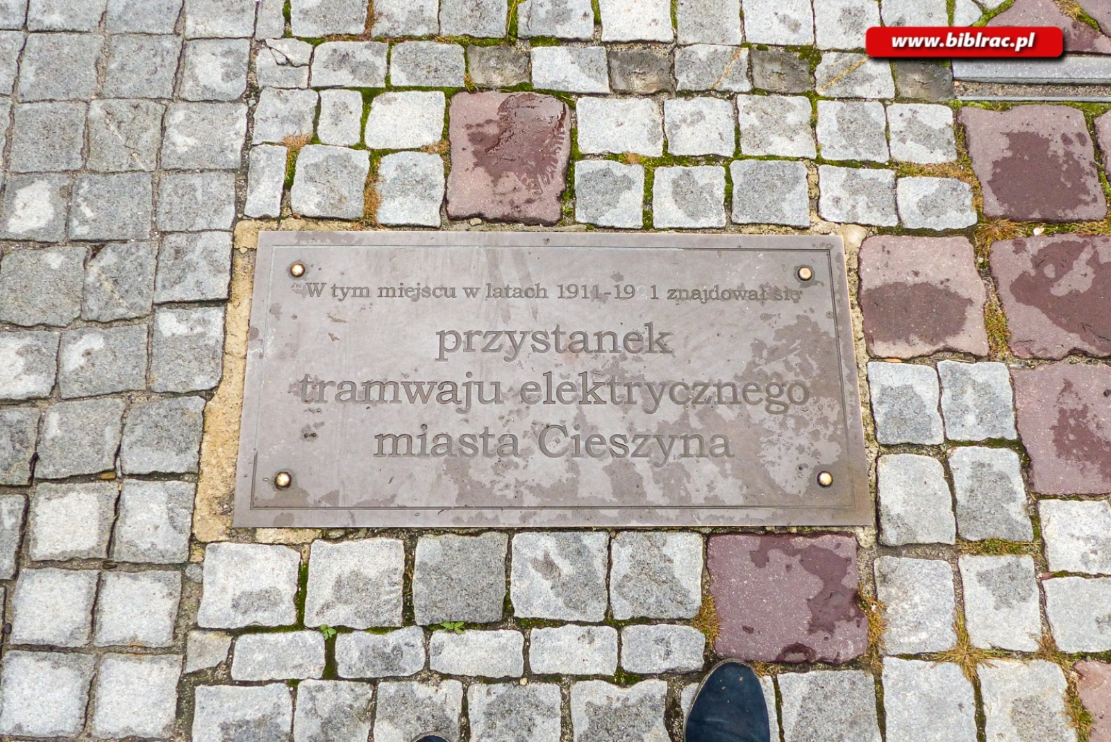 Zdjęcie w galerii na portalu naszraciborz.pl: W dwa dni dookoła świata z wycieczką Biblioteka Bez Barier wiadomości z regionu