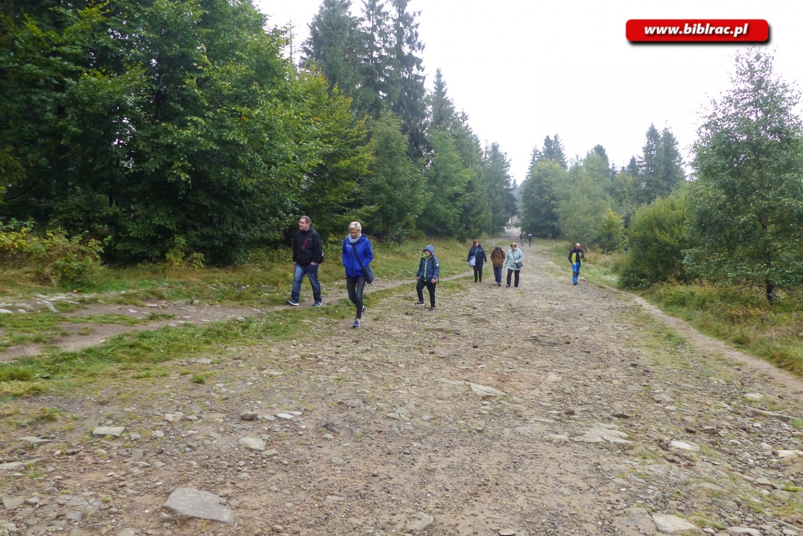 Zdjęcie w galerii na portalu naszraciborz.pl: W dwa dni dookoła świata z wycieczką Biblioteka Bez Barier wiadomości z regionu