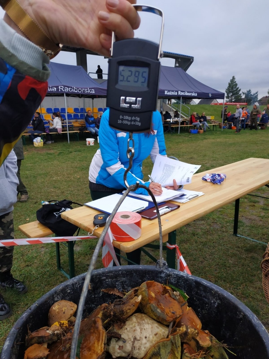 Zdjęcie w galerii na portalu naszraciborz.pl: Racibórz-Kuźnia Raciborska. Znamy nowych mistrzów grzybobrania wiadomości z regionu
