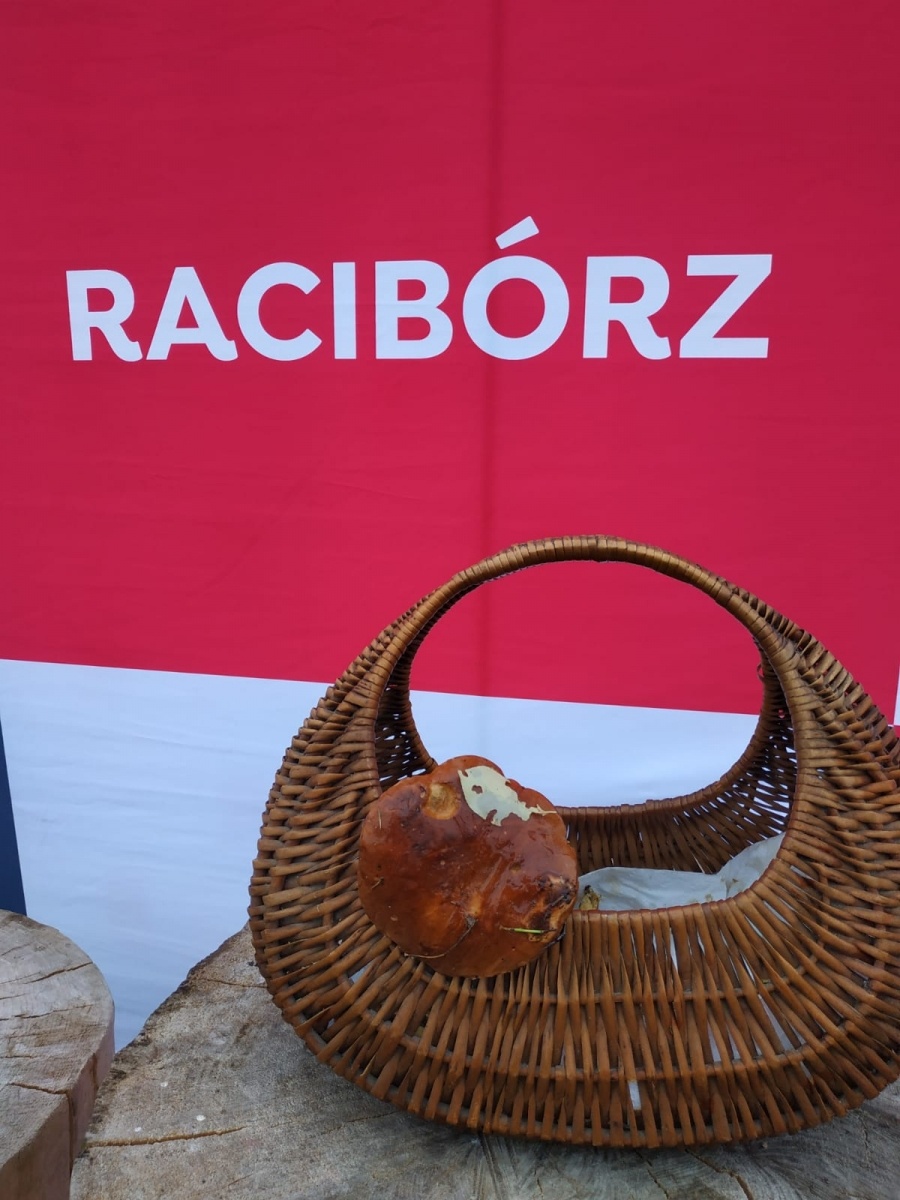 Zdjęcie w galerii na portalu naszraciborz.pl: Racibórz-Kuźnia Raciborska. Znamy nowych mistrzów grzybobrania wiadomości z regionu