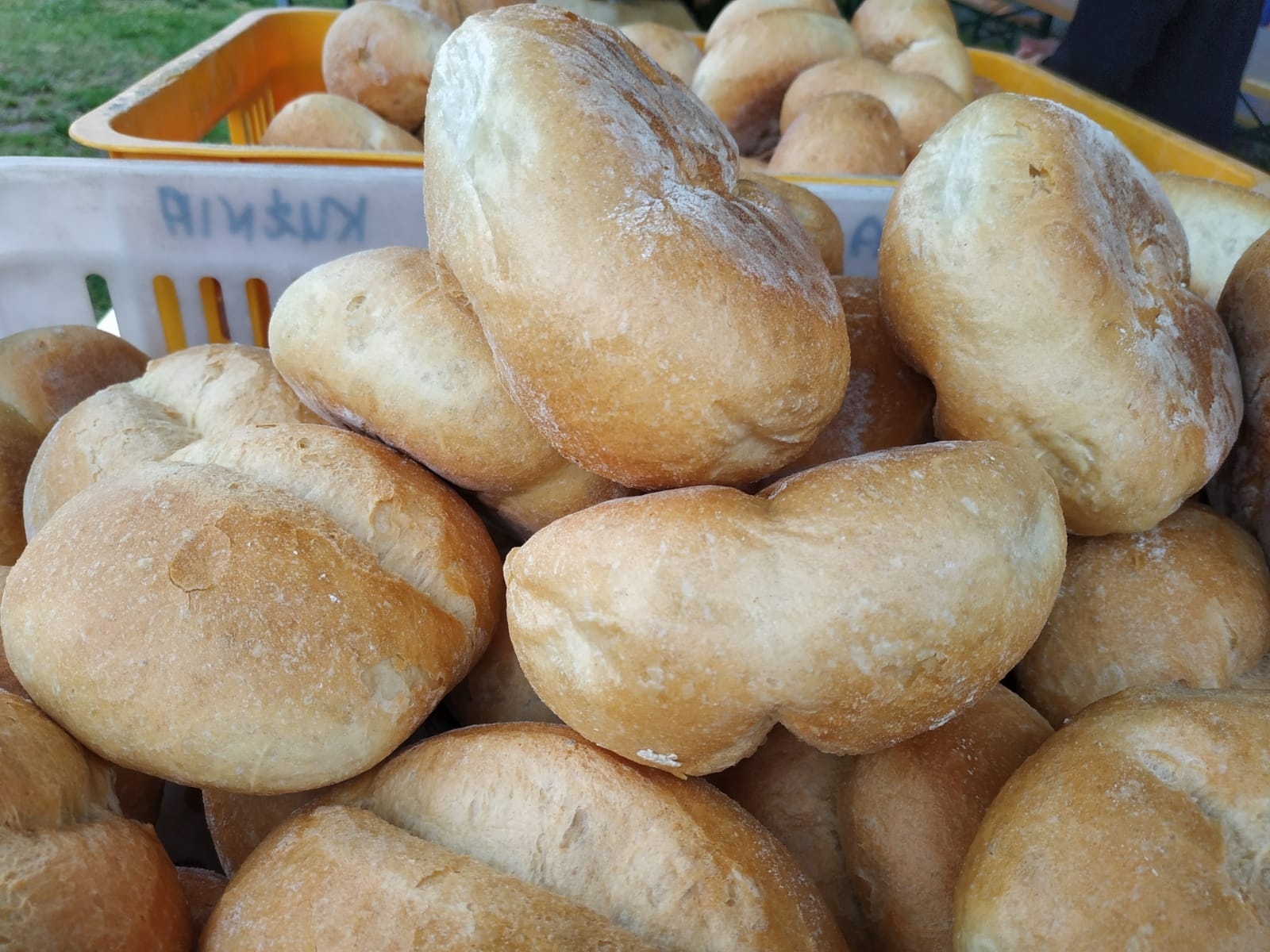 Zdjęcie w galerii na portalu naszraciborz.pl: Racibórz-Kuźnia Raciborska. Znamy nowych mistrzów grzybobrania wiadomości z regionu