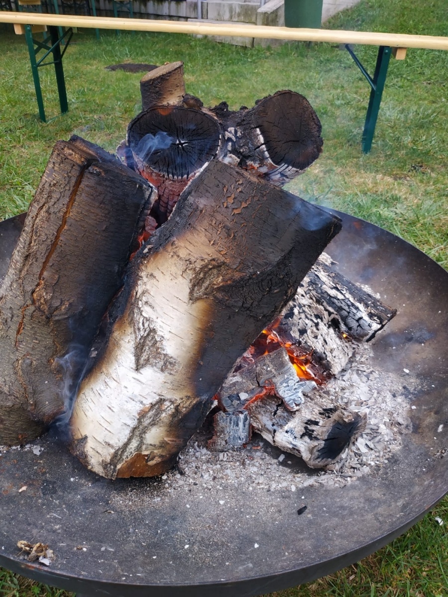 Zdjęcie w galerii na portalu naszraciborz.pl: Racibórz-Kuźnia Raciborska. Znamy nowych mistrzów grzybobrania wiadomości z regionu