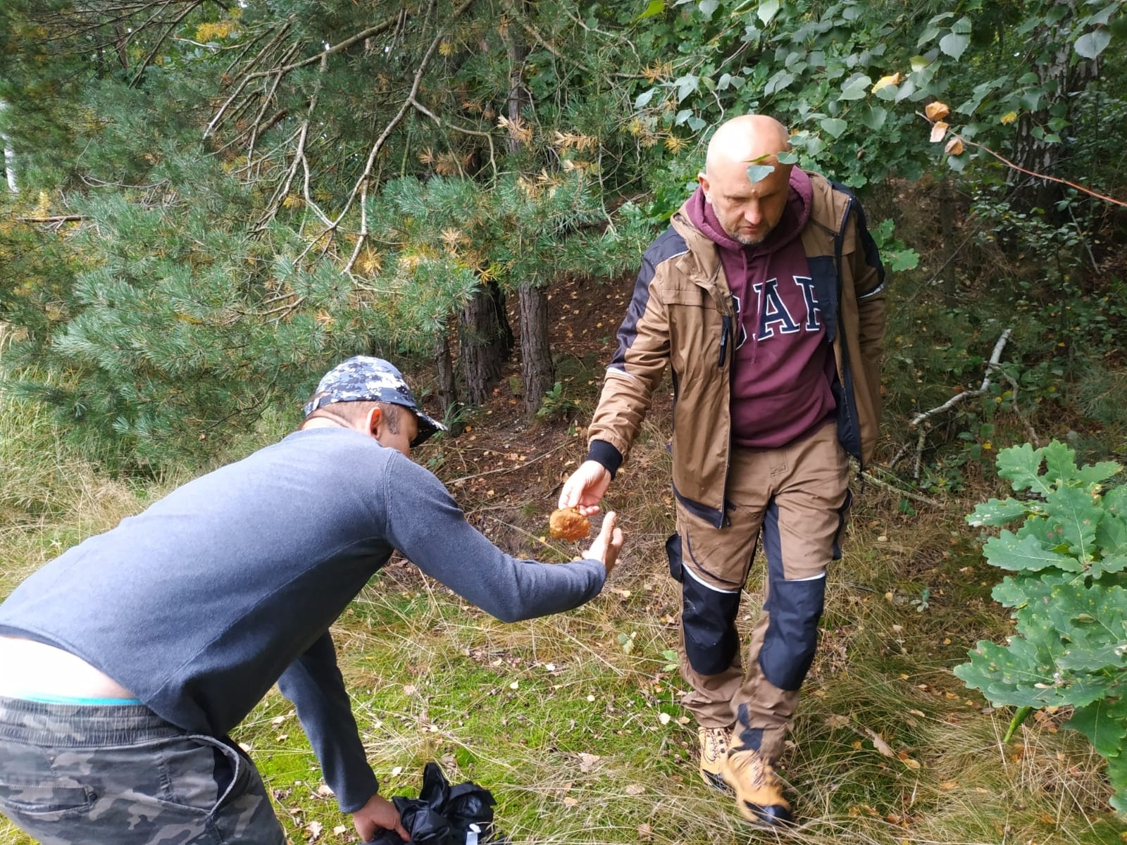 Zdjęcie w galerii na portalu naszraciborz.pl: Racibórz-Kuźnia Raciborska. Znamy nowych mistrzów grzybobrania wiadomości z regionu