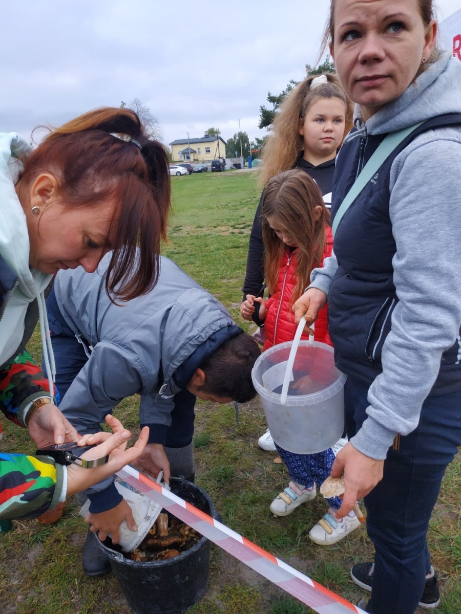 Zdjęcie w galerii na portalu naszraciborz.pl: Racibórz-Kuźnia Raciborska. Znamy nowych mistrzów grzybobrania wiadomości z regionu