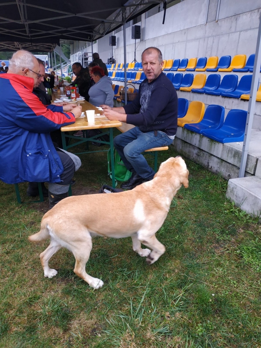 Zdjęcie w galerii na portalu naszraciborz.pl: Racibórz-Kuźnia Raciborska. Znamy nowych mistrzów grzybobrania wiadomości z regionu