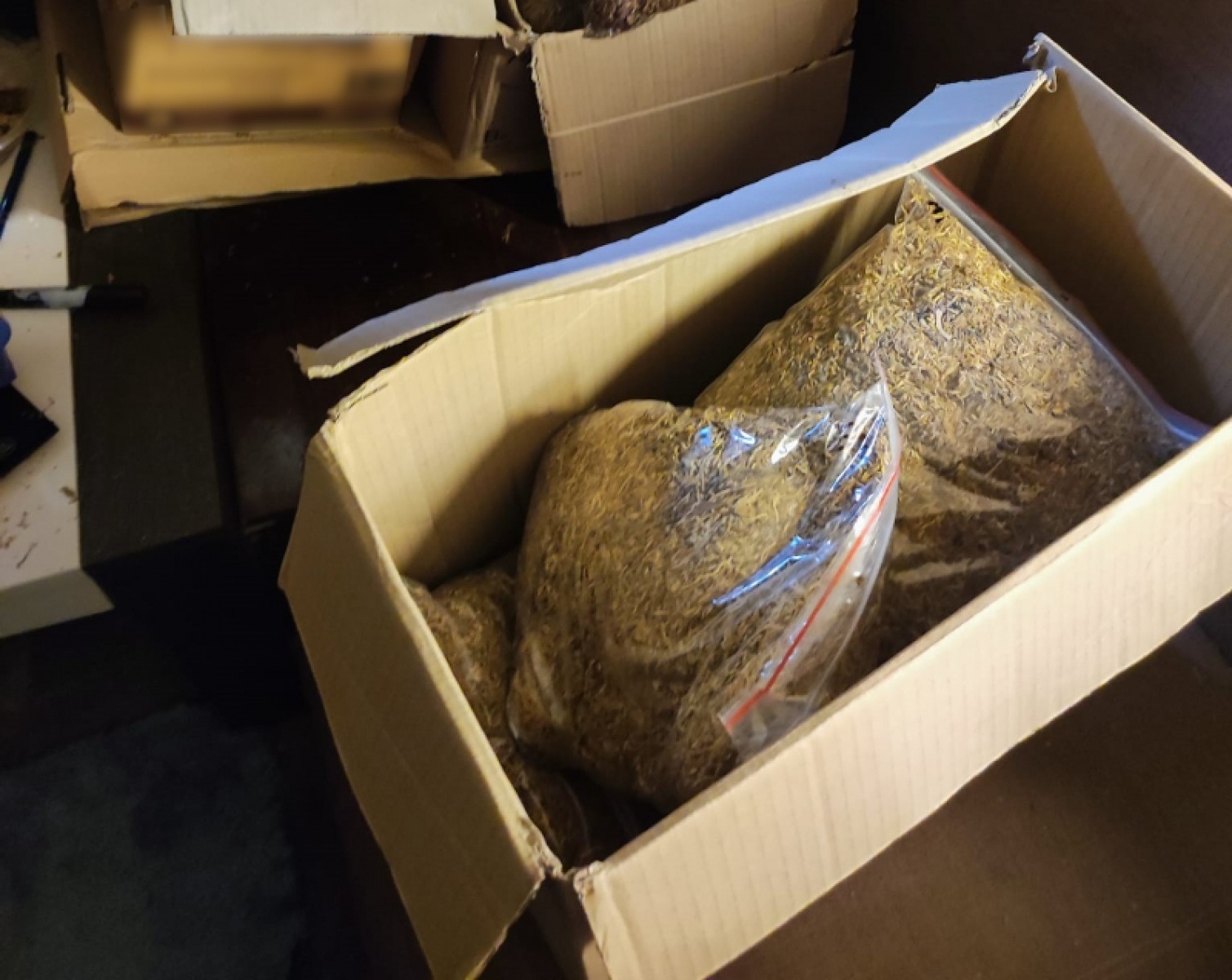 Zdjęcie w galerii na portalu naszraciborz.pl: Śląscy pogranicznicy ujawnili nielegalne wyroby akcyzowe wiadomości z regionu