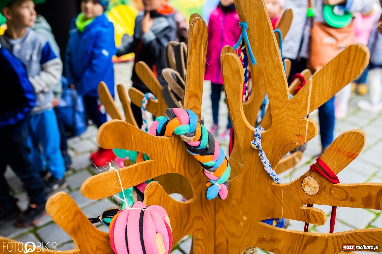Zdjęcie w galerii na portalu naszraciborz.pl: Festyn ekologiczny na raciborskim Rynku [FOTO i WIDEO] wiadomości z regionu