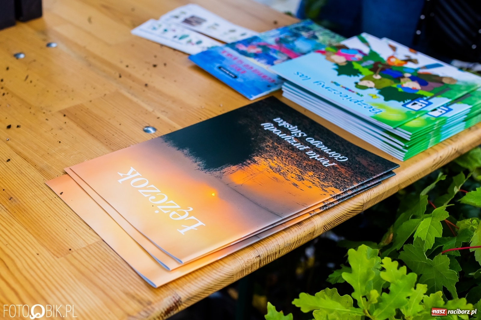 Zdjęcie w galerii na portalu naszraciborz.pl: Festyn ekologiczny na raciborskim Rynku [FOTO i WIDEO] wiadomości z regionu