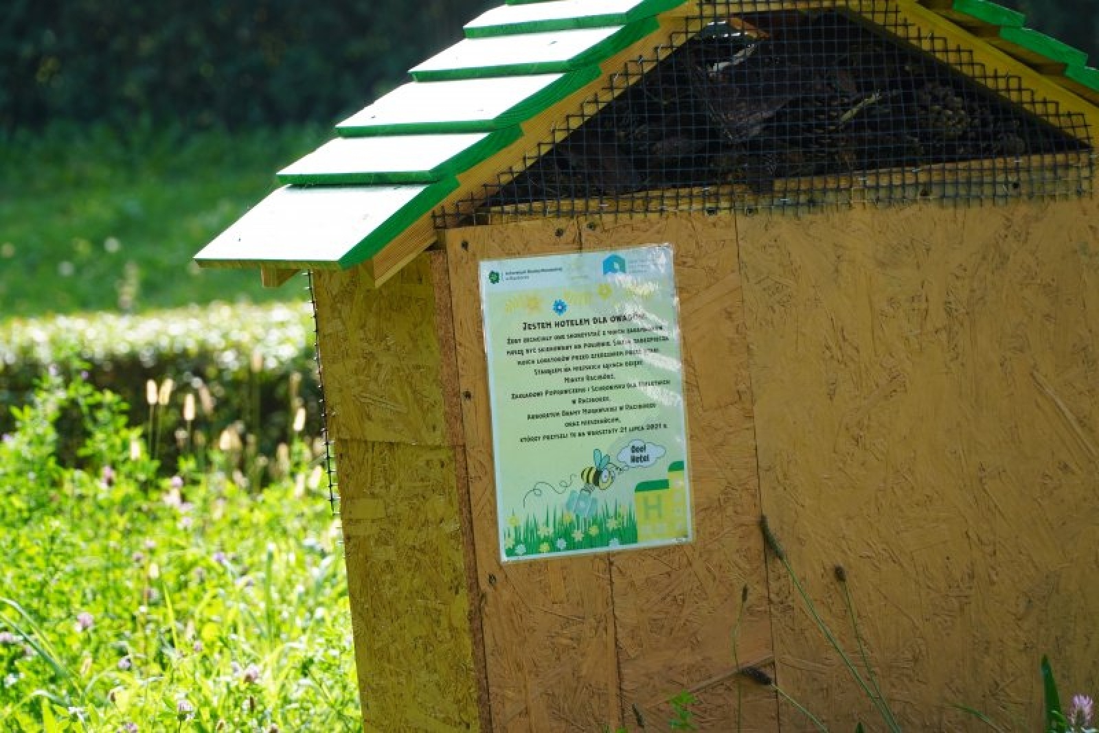Zdjęcie w galerii na portalu naszraciborz.pl: Coraz więcej łąk miejskich w krajobrazie Raciborza wiadomości z regionu