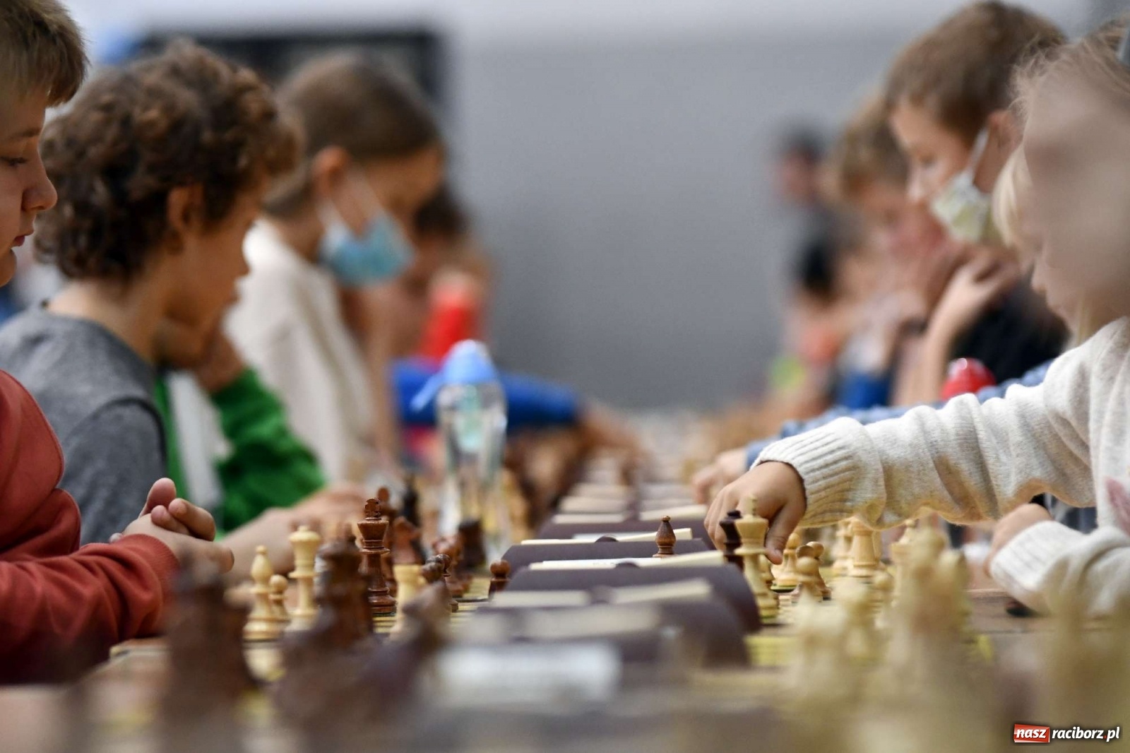 Zdjęcie w galerii na portalu naszraciborz.pl: PCS Racibórz. II Memoriał Szachowy im. Alfreda Chrobaka wiadomości z regionu