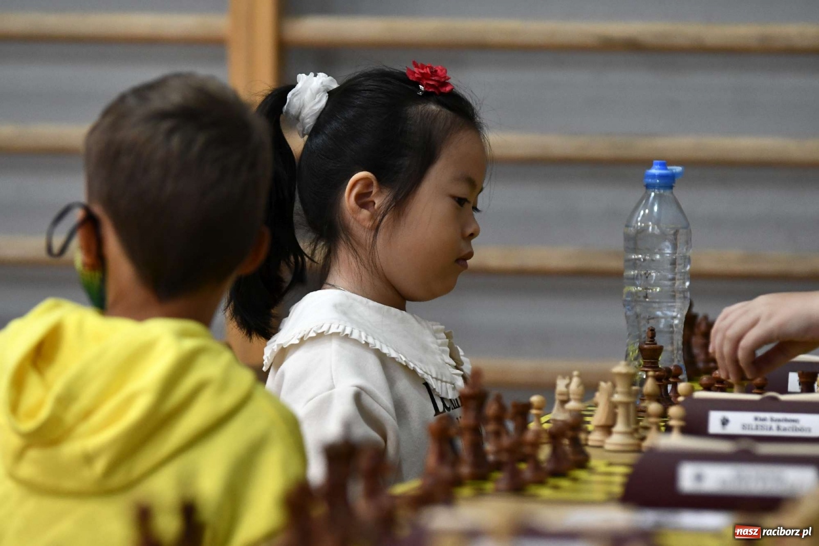 Zdjęcie w galerii na portalu naszraciborz.pl: PCS Racibórz. II Memoriał Szachowy im. Alfreda Chrobaka wiadomości z regionu