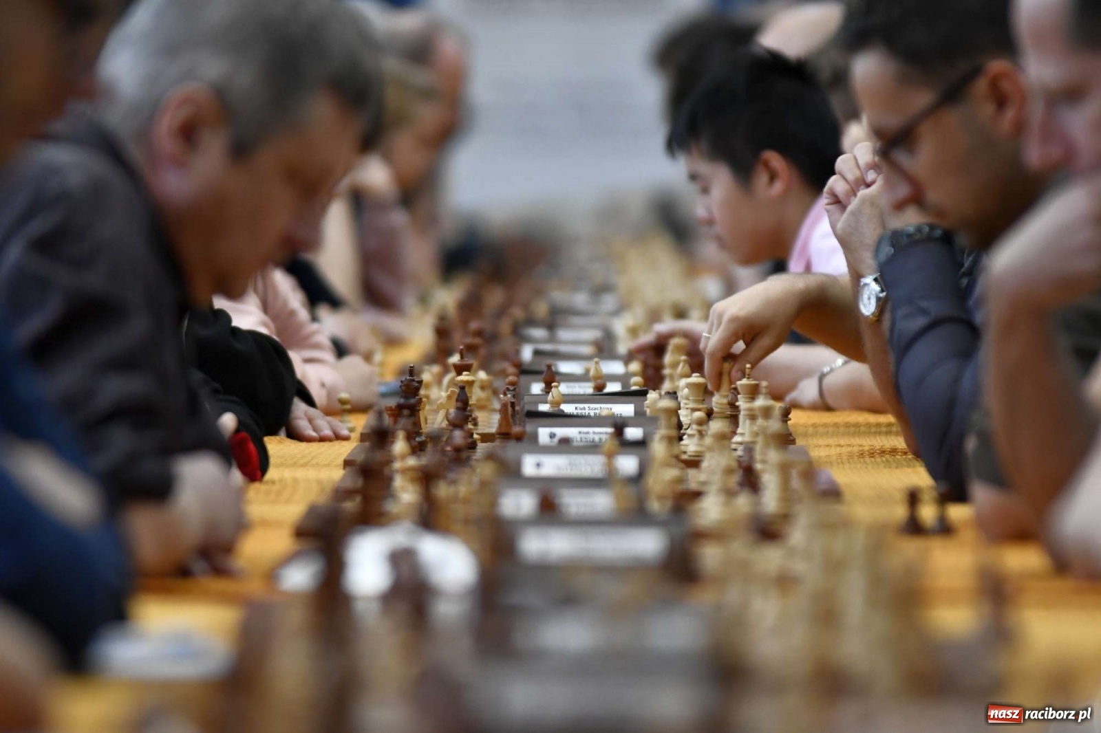 Zdjęcie w galerii na portalu naszraciborz.pl: PCS Racibórz. II Memoriał Szachowy im. Alfreda Chrobaka wiadomości z regionu