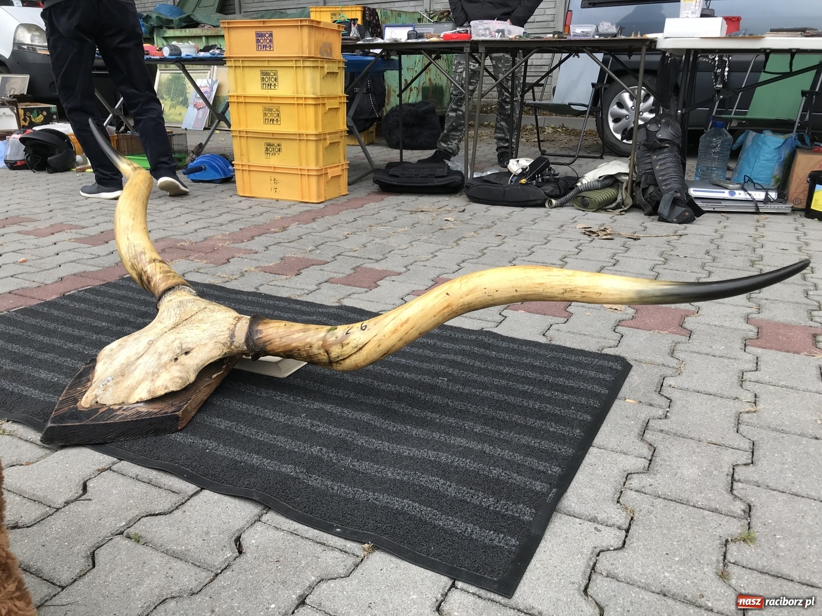 Zdjęcie w galerii na portalu naszraciborz.pl: Jesienny targ staroci w Pietrowicach Wielkich [FOTO i WIDEO] wiadomości z regionu