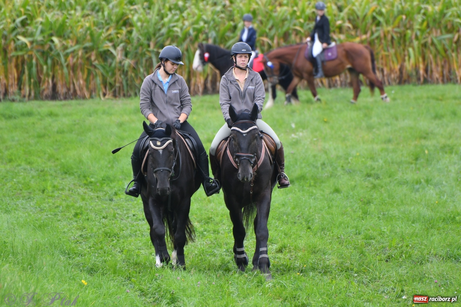 Zdjęcie w galerii na portalu naszraciborz.pl: Raciborski Hubertus 2021. Parada przez Ostróg i dwie gonitwy za lisem [FOTO i WIDEO] wiadomości z regionu