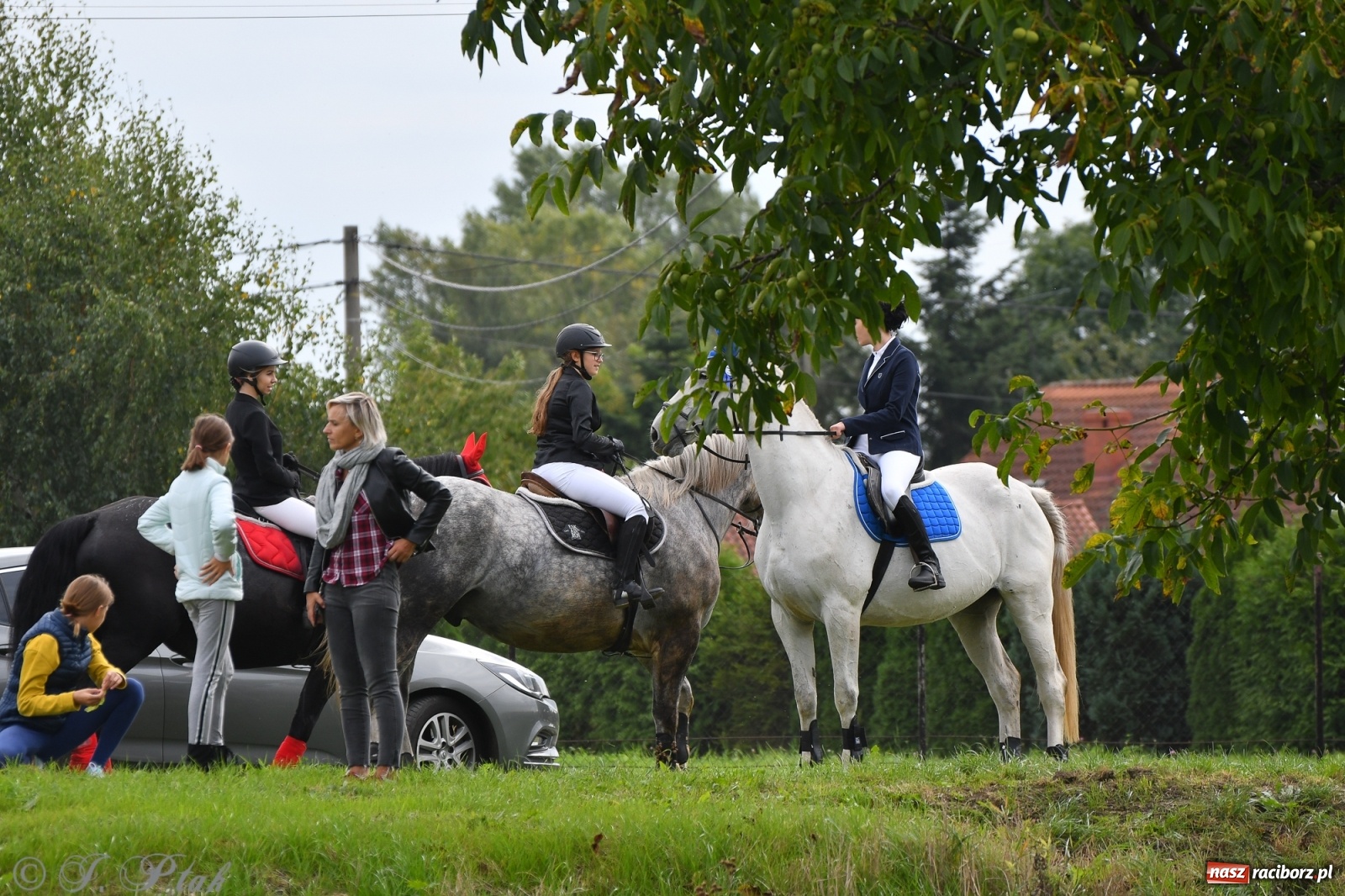 Zdjęcie w galerii na portalu naszraciborz.pl: Raciborski Hubertus 2021. Parada przez Ostróg i dwie gonitwy za lisem [FOTO i WIDEO] wiadomości z regionu