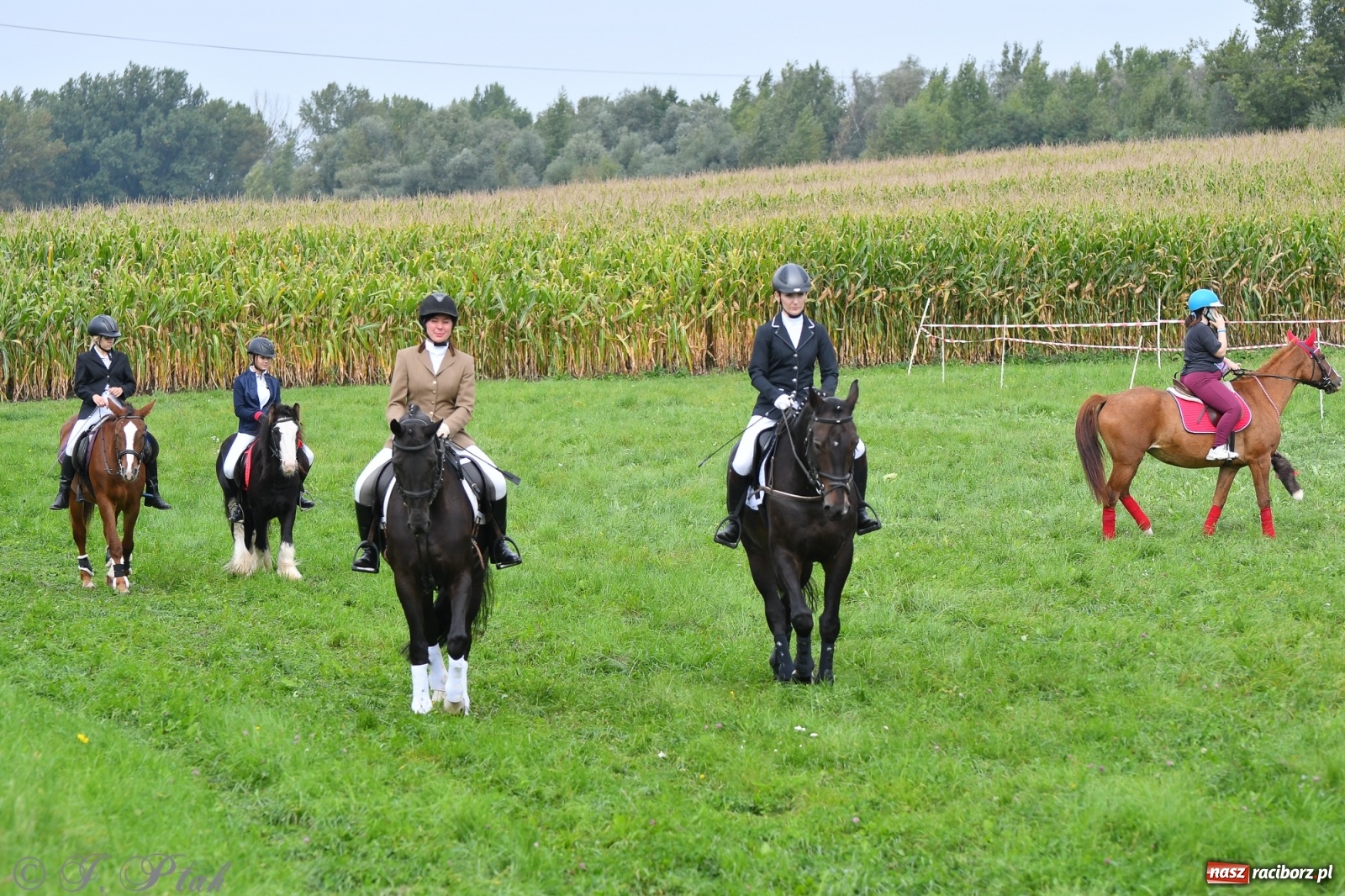 Zdjęcie w galerii na portalu naszraciborz.pl: Raciborski Hubertus 2021. Parada przez Ostróg i dwie gonitwy za lisem [FOTO i WIDEO] wiadomości z regionu