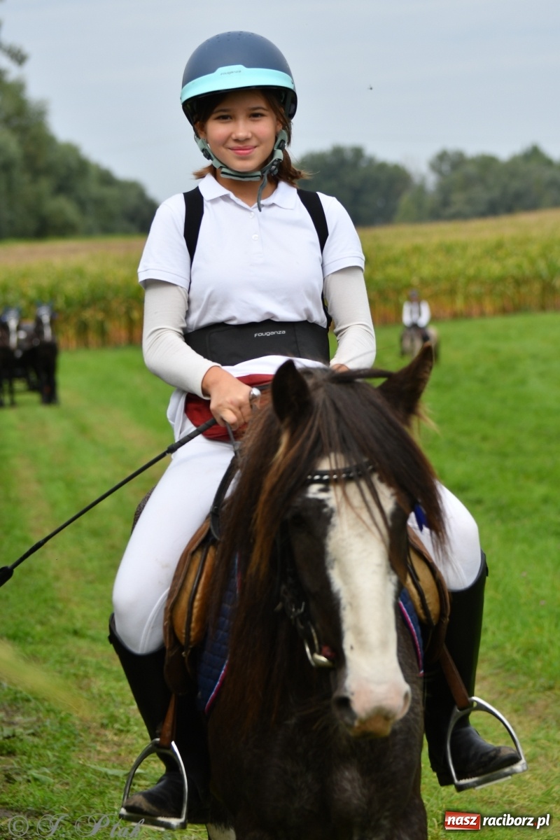 Zdjęcie w galerii na portalu naszraciborz.pl: Raciborski Hubertus 2021. Parada przez Ostróg i dwie gonitwy za lisem [FOTO i WIDEO] wiadomości z regionu