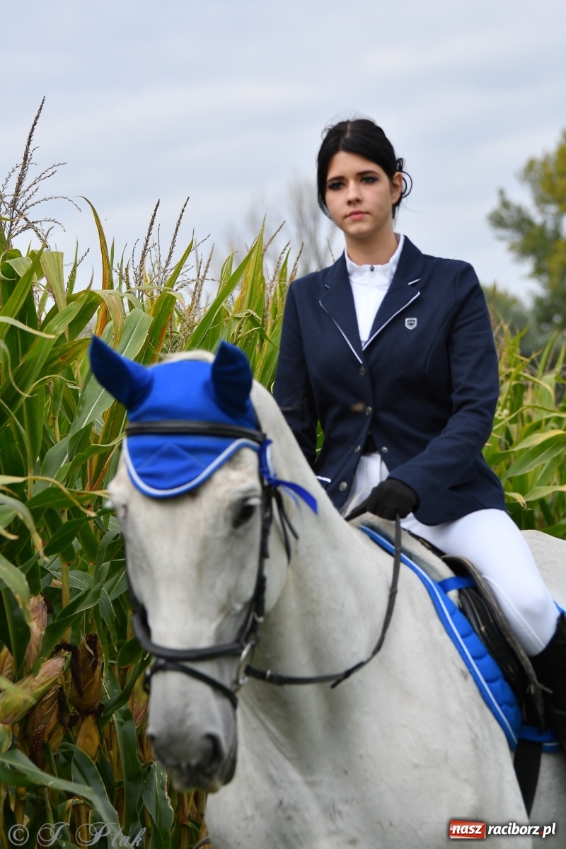 Zdjęcie w galerii na portalu naszraciborz.pl: Raciborski Hubertus 2021. Parada przez Ostróg i dwie gonitwy za lisem [FOTO i WIDEO] wiadomości z regionu