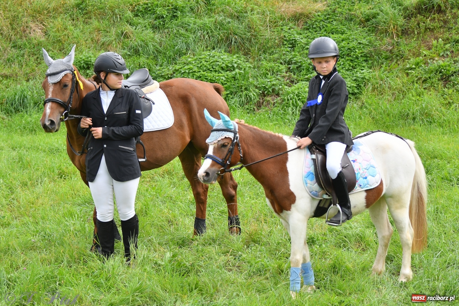 Zdjęcie w galerii na portalu naszraciborz.pl: Raciborski Hubertus 2021. Parada przez Ostróg i dwie gonitwy za lisem [FOTO i WIDEO] wiadomości z regionu