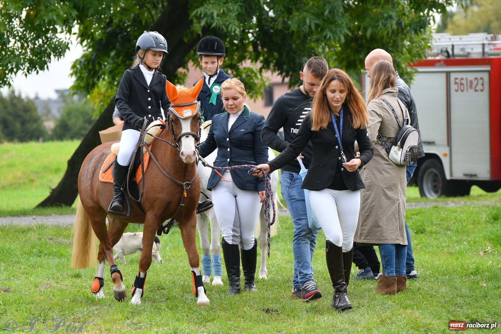 Zdjęcie w galerii na portalu naszraciborz.pl: Raciborski Hubertus 2021. Parada przez Ostróg i dwie gonitwy za lisem [FOTO i WIDEO] wiadomości z regionu