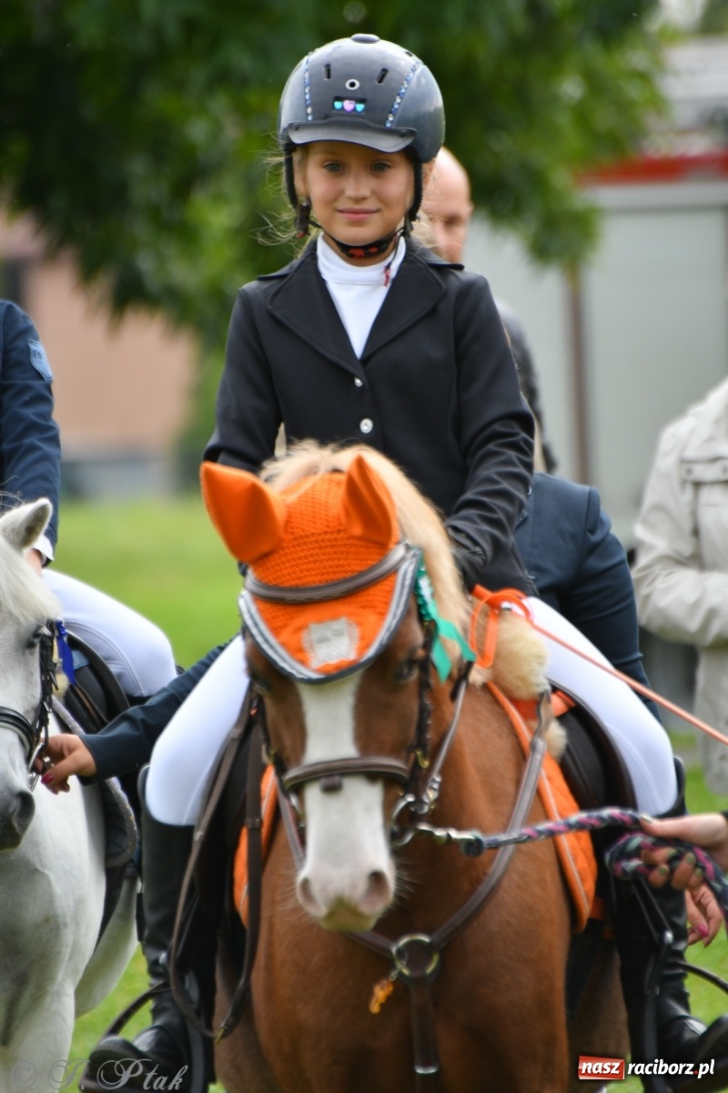 Zdjęcie w galerii na portalu naszraciborz.pl: Raciborski Hubertus 2021. Parada przez Ostróg i dwie gonitwy za lisem [FOTO i WIDEO] wiadomości z regionu