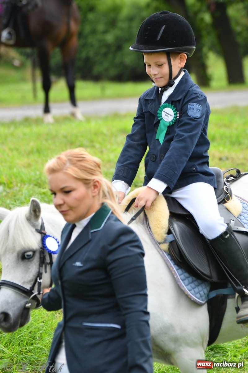 Zdjęcie w galerii na portalu naszraciborz.pl: Raciborski Hubertus 2021. Parada przez Ostróg i dwie gonitwy za lisem [FOTO i WIDEO] wiadomości z regionu
