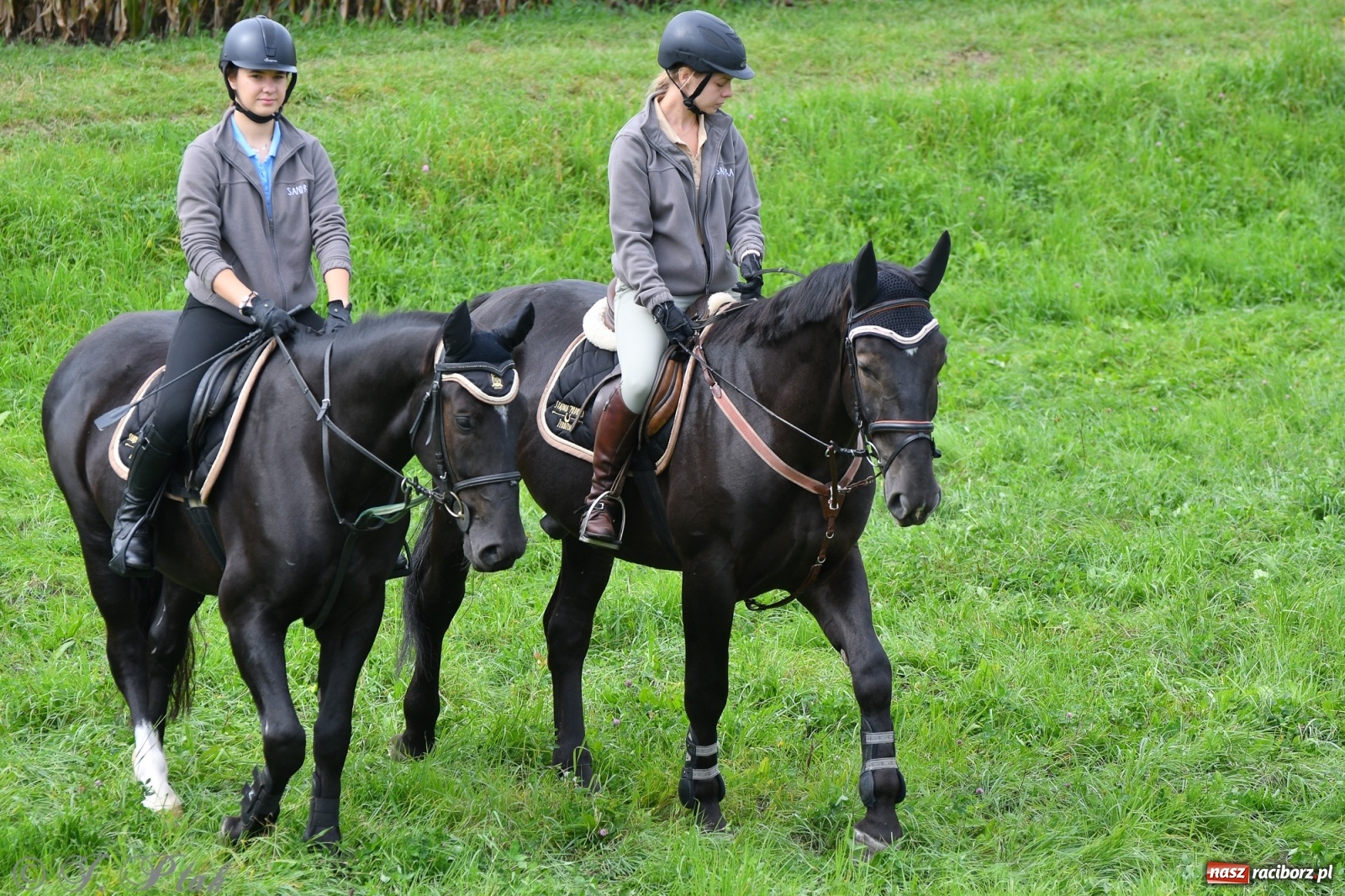 Zdjęcie w galerii na portalu naszraciborz.pl: Raciborski Hubertus 2021. Parada przez Ostróg i dwie gonitwy za lisem [FOTO i WIDEO] wiadomości z regionu