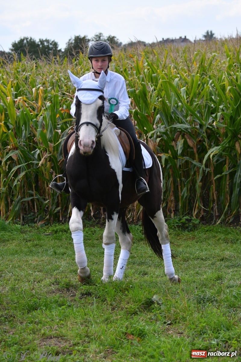 Zdjęcie w galerii na portalu naszraciborz.pl: Raciborski Hubertus 2021. Parada przez Ostróg i dwie gonitwy za lisem [FOTO i WIDEO] wiadomości z regionu