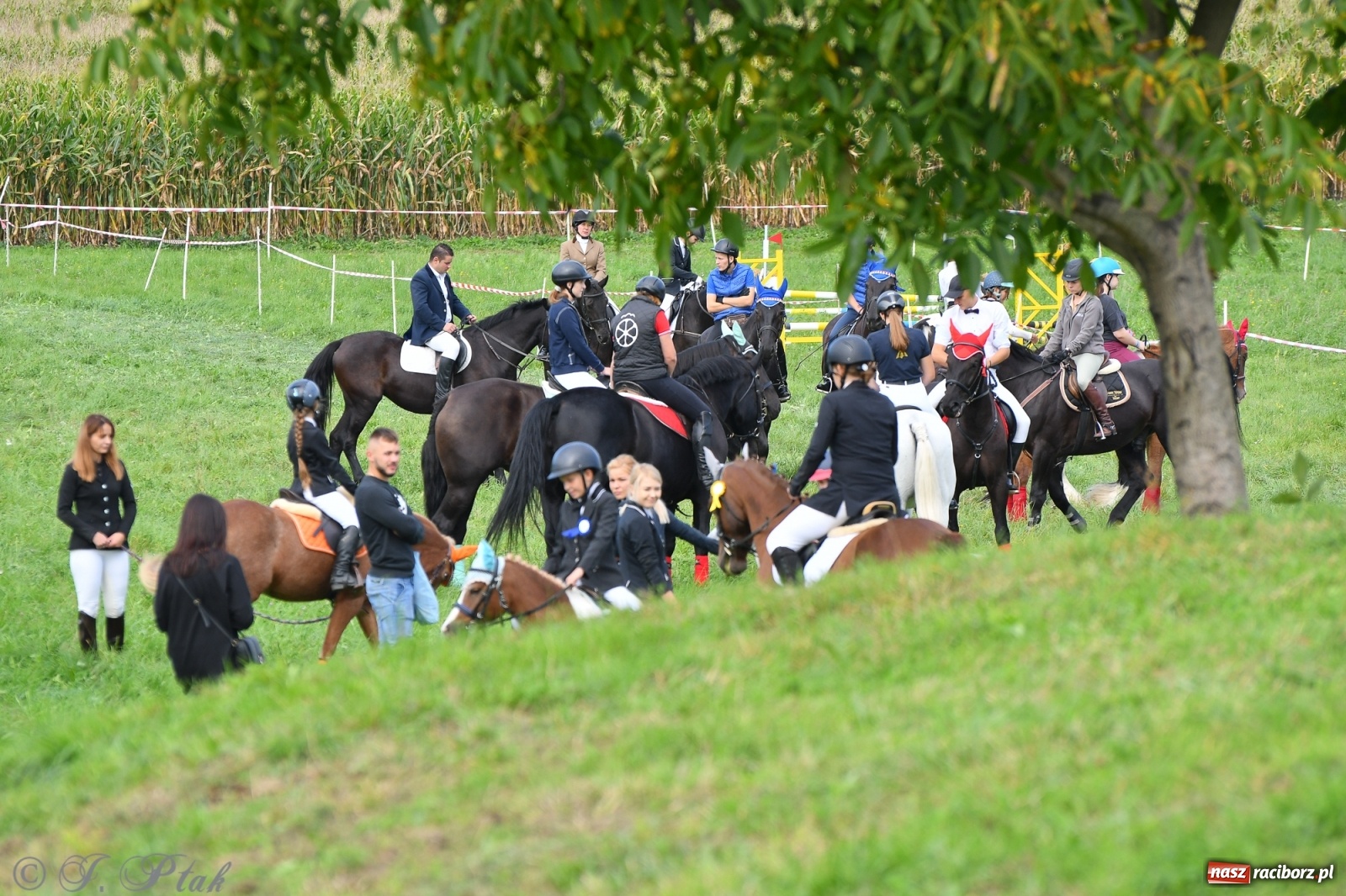 Zdjęcie w galerii na portalu naszraciborz.pl: Raciborski Hubertus 2021. Parada przez Ostróg i dwie gonitwy za lisem [FOTO i WIDEO] wiadomości z regionu