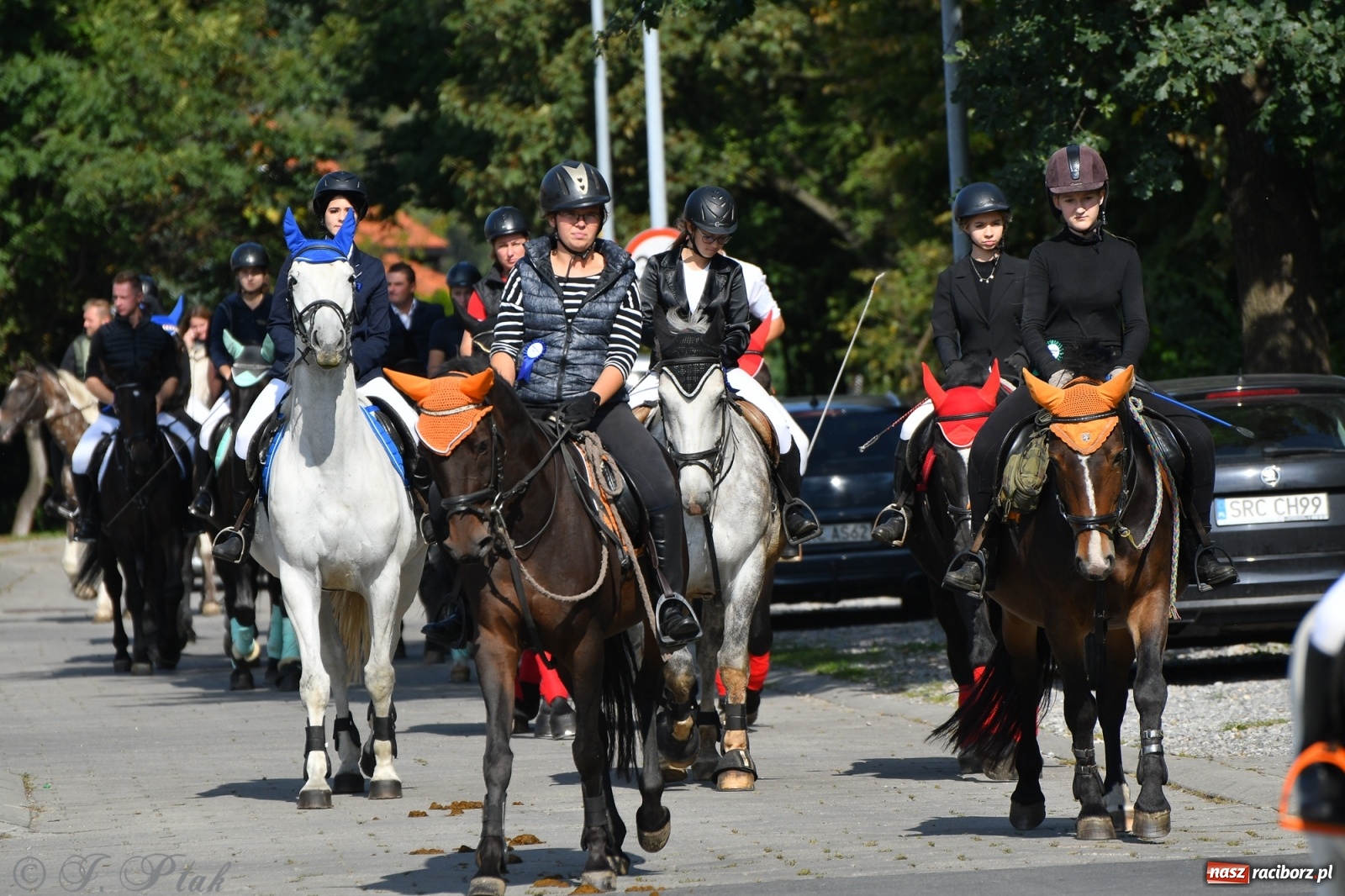 Zdjęcie w galerii na portalu naszraciborz.pl: Raciborski Hubertus 2021. Parada przez Ostróg i dwie gonitwy za lisem [FOTO i WIDEO] wiadomości z regionu