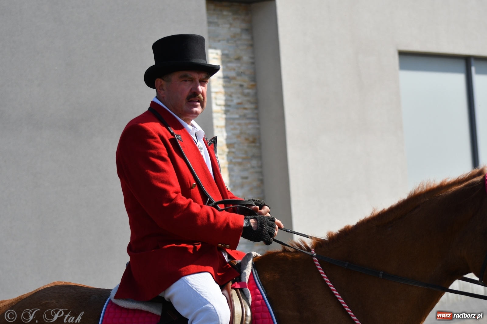 Zdjęcie w galerii na portalu naszraciborz.pl: Raciborski Hubertus 2021. Parada przez Ostróg i dwie gonitwy za lisem [FOTO i WIDEO] wiadomości z regionu