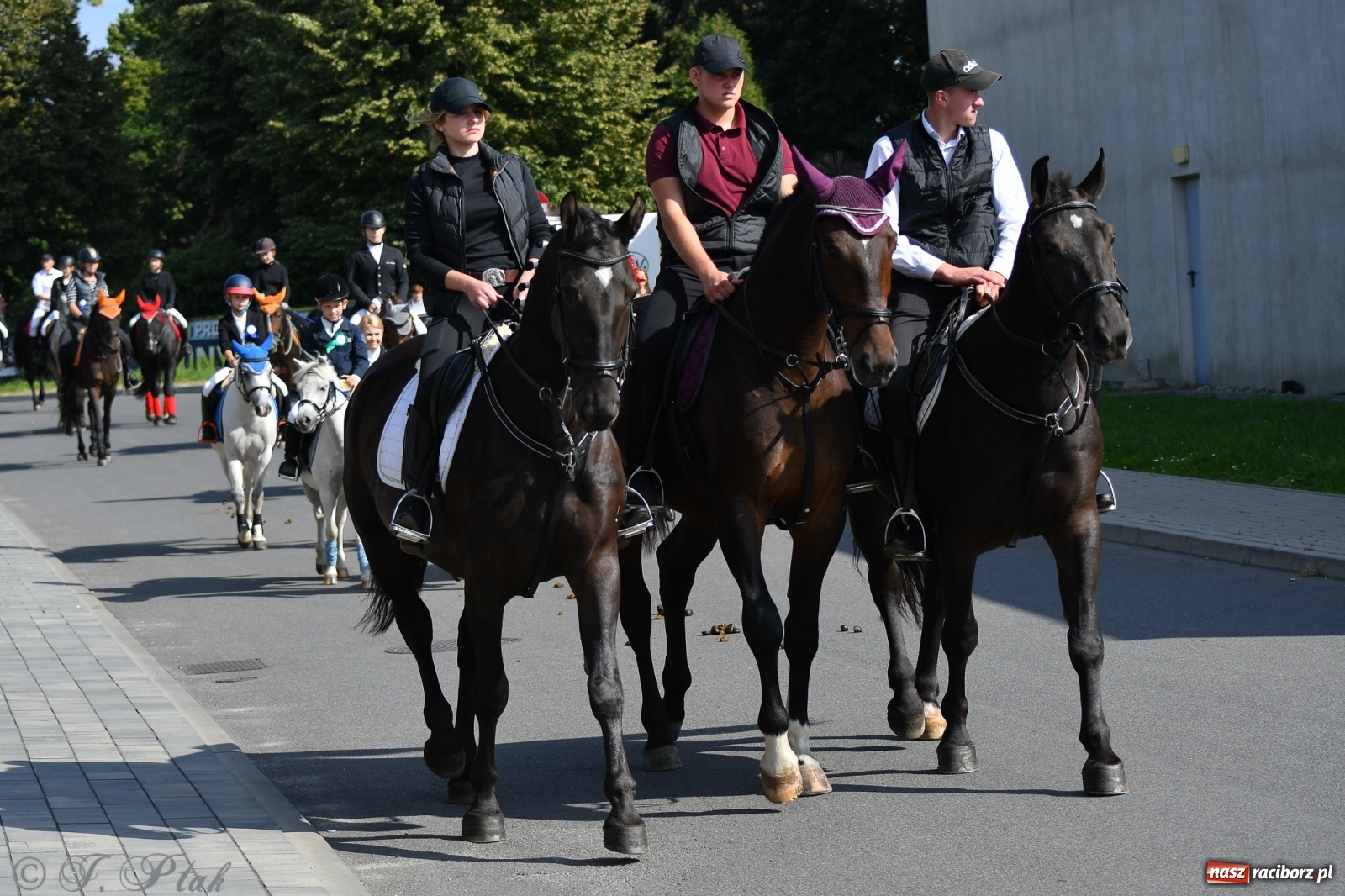 Zdjęcie w galerii na portalu naszraciborz.pl: Raciborski Hubertus 2021. Parada przez Ostróg i dwie gonitwy za lisem [FOTO i WIDEO] wiadomości z regionu