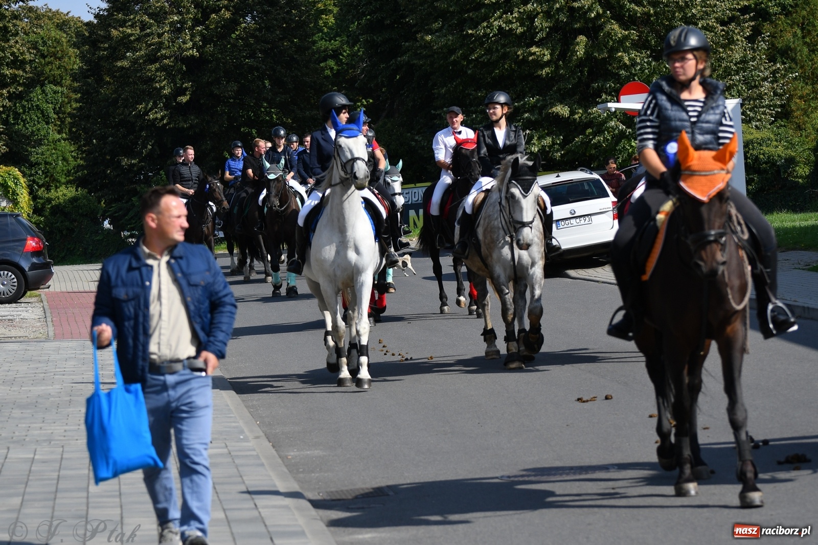 Zdjęcie w galerii na portalu naszraciborz.pl: Raciborski Hubertus 2021. Parada przez Ostróg i dwie gonitwy za lisem [FOTO i WIDEO] wiadomości z regionu