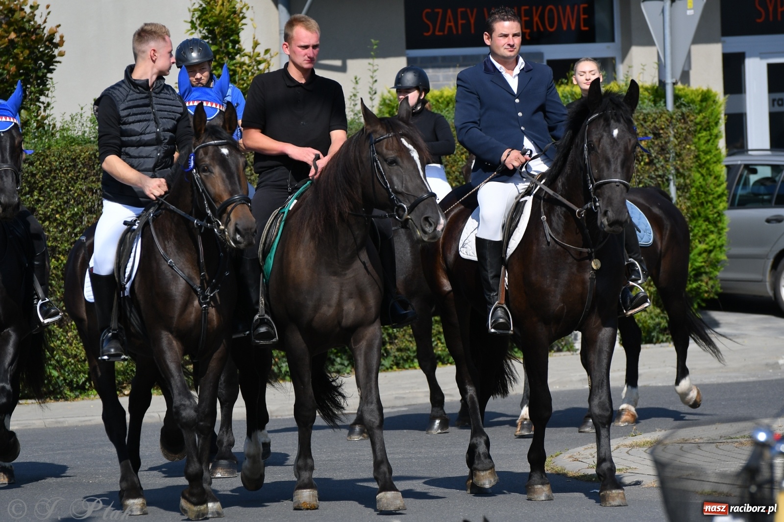 Zdjęcie w galerii na portalu naszraciborz.pl: Raciborski Hubertus 2021. Parada przez Ostróg i dwie gonitwy za lisem [FOTO i WIDEO] wiadomości z regionu