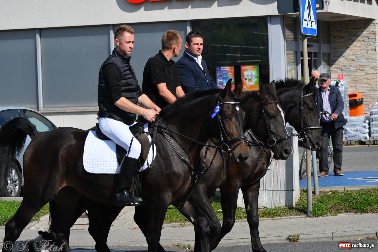 Zdjęcie w galerii na portalu naszraciborz.pl: Raciborski Hubertus 2021. Parada przez Ostróg i dwie gonitwy za lisem [FOTO i WIDEO] wiadomości z regionu