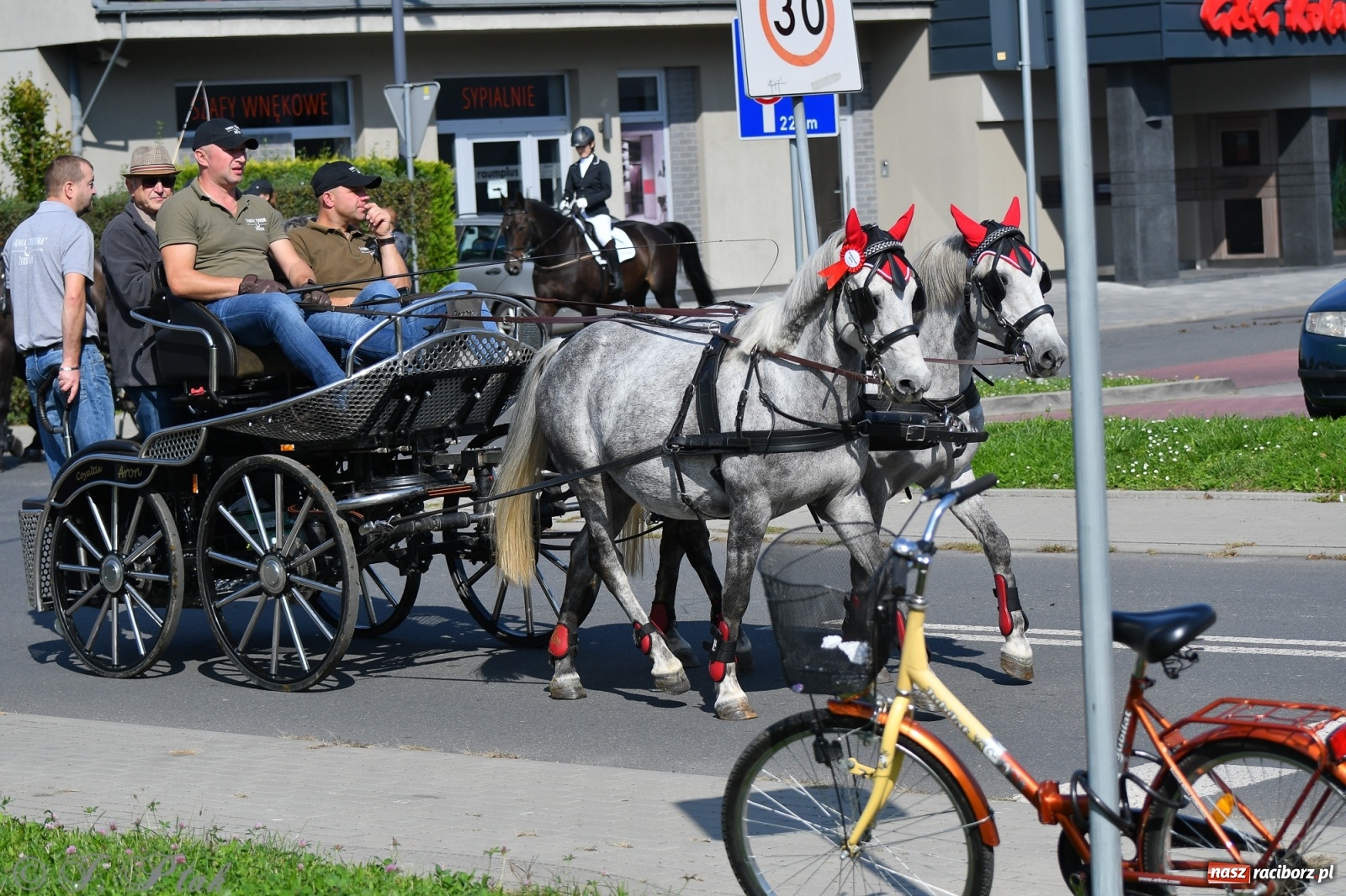 Zdjęcie w galerii na portalu naszraciborz.pl: Raciborski Hubertus 2021. Parada przez Ostróg i dwie gonitwy za lisem [FOTO i WIDEO] wiadomości z regionu