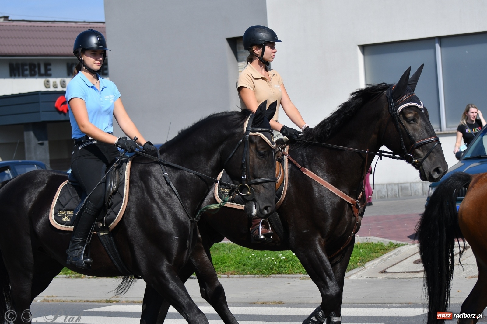 Zdjęcie w galerii na portalu naszraciborz.pl: Raciborski Hubertus 2021. Parada przez Ostróg i dwie gonitwy za lisem [FOTO i WIDEO] wiadomości z regionu